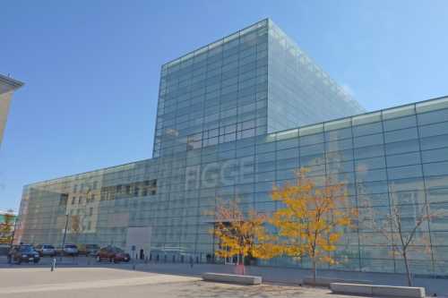 Modern glass building with a clear blue sky, featuring trees with autumn leaves in the foreground.