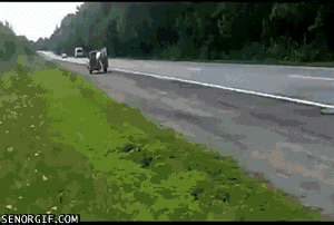 A horse-drawn cart moves along the side of a busy road, with vehicles passing by in the background.