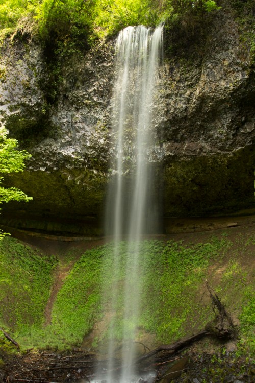 A serene waterfall cascading down a rocky cliff, surrounded by lush green foliage and moss-covered rocks.
