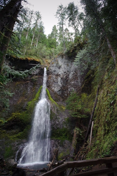 A serene waterfall cascading down a moss-covered rocky cliff, surrounded by lush green trees and foliage.