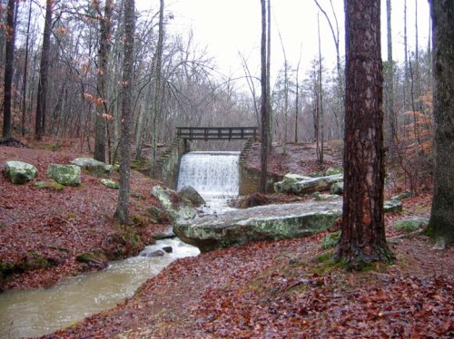 A serene forest scene featuring a small waterfall, a wooden bridge, and rocky terrain surrounded by trees and fallen leaves.