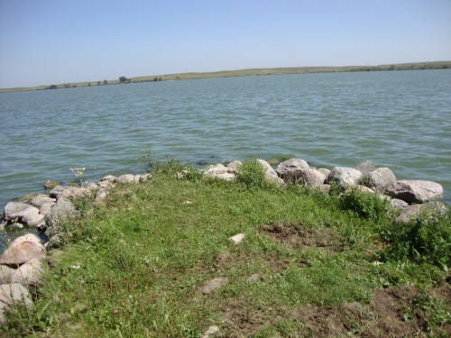 A grassy shoreline with rocks leading into a calm lake under a clear blue sky.