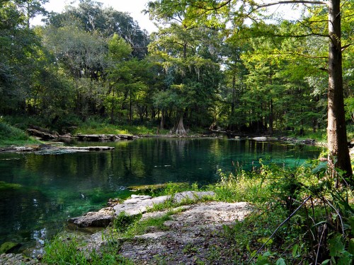 A serene forest scene featuring a clear, greenish-blue pond surrounded by lush trees and rocky edges.