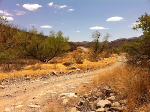 A dusty dirt road winds through a dry landscape with sparse trees and rocky terrain under a clear blue sky.
