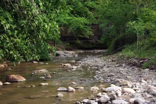 A serene river flows through a rocky bed, surrounded by lush green trees and a rocky cliff in the background.