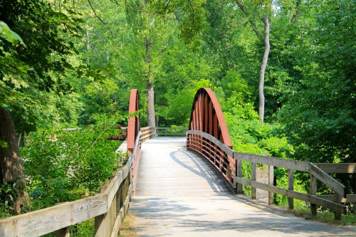 A wooden bridge with a red arch spans a lush green landscape filled with trees.