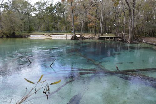 A serene natural spring with clear blue water, surrounded by trees and wooden structures in a tranquil setting.