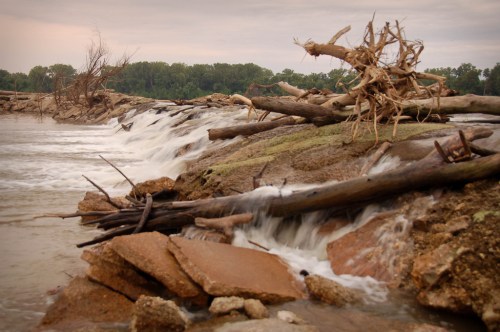 A rocky shoreline with flowing water, scattered logs, and trees in the background under a cloudy sky.