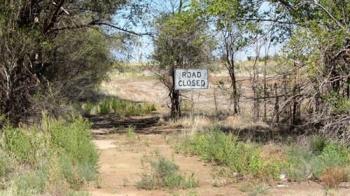 A "Road Closed" sign stands at the end of a dirt path, surrounded by overgrown vegetation and trees.