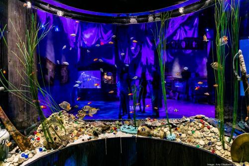 A vibrant aquarium scene with colorful fish swimming among decorative rocks and plants, illuminated by blue lighting.