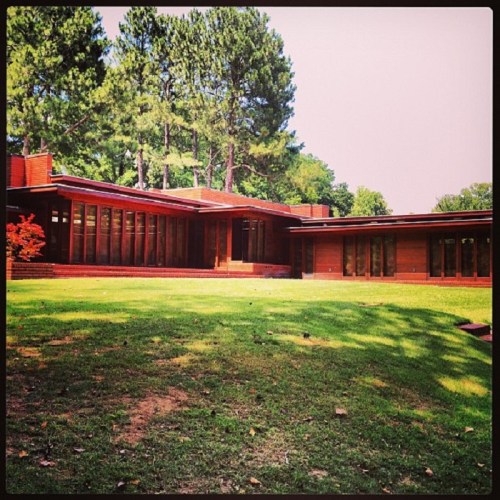 A modern brick house surrounded by green grass and tall trees, featuring large windows and a flat roof.