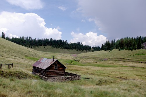 alt