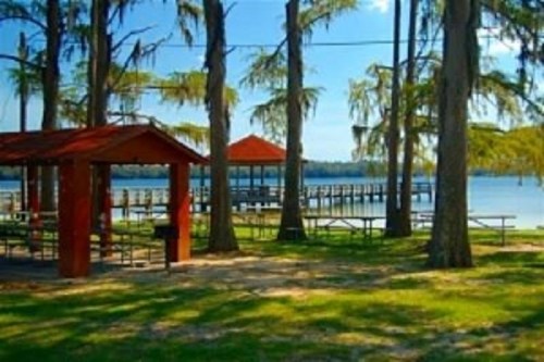 A serene lakeside scene with picnic areas, a wooden pier, and trees under a clear blue sky.