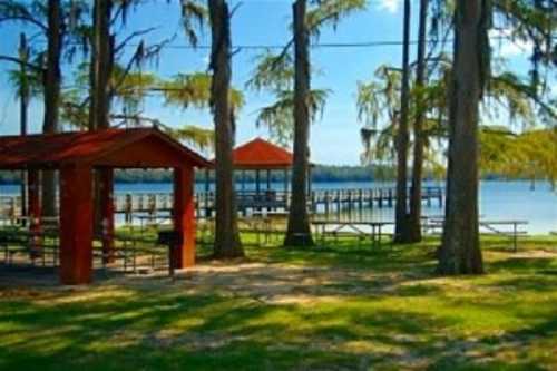 A serene lakeside scene with picnic areas, a wooden pier, and trees under a clear blue sky.