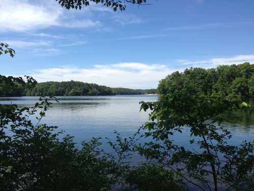 A serene lake surrounded by lush greenery under a clear blue sky. Reflections shimmer on the water's surface.