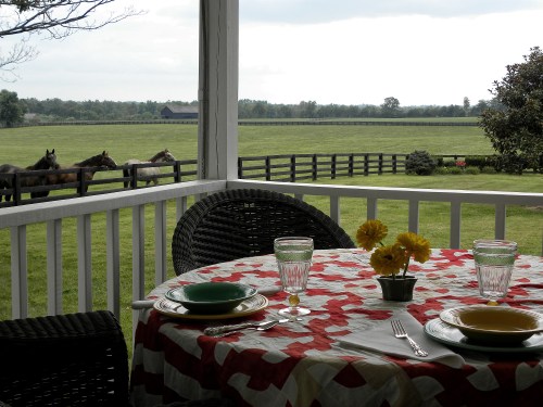 A cozy porch with a checkered tablecloth, flowers, and a view of horses grazing in a green field.