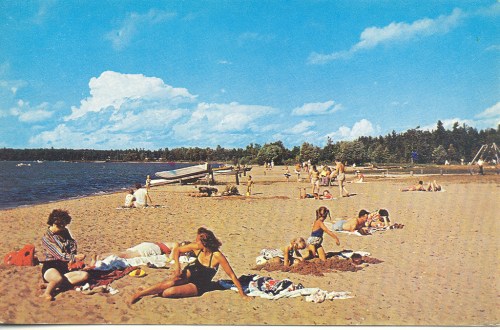 A sunny beach scene with people sunbathing, playing, and relaxing on the sand near the water and trees in the background.