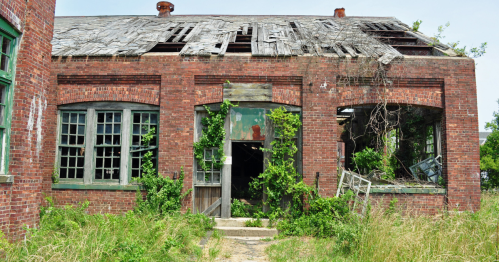 Abandoned brick building with a dilapidated roof, overgrown with vines and surrounded by tall grass.