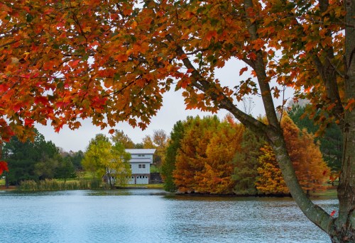 A serene lake surrounded by vibrant autumn trees and a white building in the background.