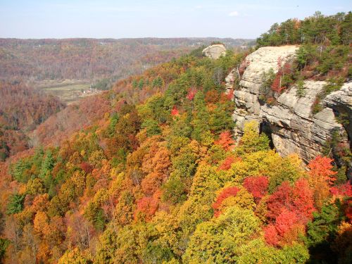 Vibrant autumn foliage covers a hillside, showcasing a mix of red, orange, and yellow trees against a rocky cliff backdrop.