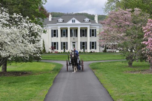 A horse-drawn carriage approaches a grand white mansion, surrounded by blooming trees and a lush green landscape.