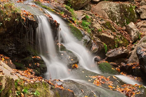 A serene waterfall cascades over moss-covered rocks, surrounded by autumn leaves and natural greenery.