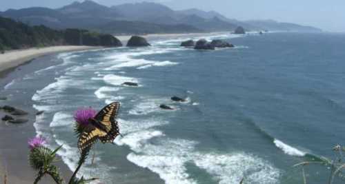 A butterfly perched on a flower overlooking a scenic coastline with waves and mountains in the background.