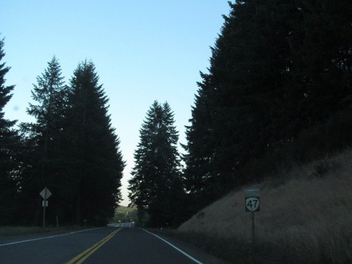 A winding road flanked by tall trees, with a sign for Highway 47 visible on the right.