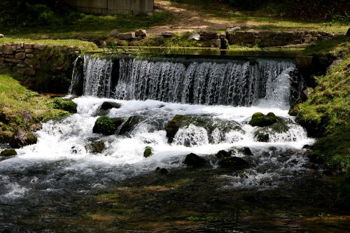 A serene waterfall cascades over rocks, surrounded by lush greenery and a peaceful stream.