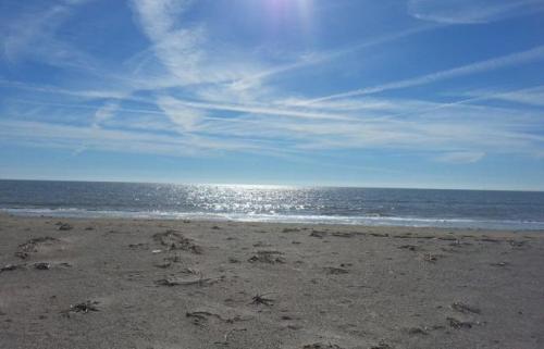 A serene beach scene with soft sand, gentle waves, and a bright blue sky filled with wispy clouds.