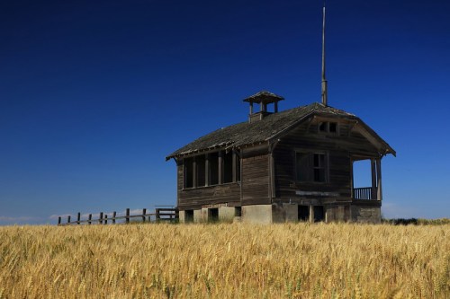 A weathered wooden house stands in a golden wheat field under a clear blue sky.