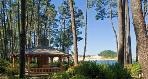 A wooden gazebo surrounded by tall trees, overlooking a serene lake and sandy shore in a peaceful natural setting.