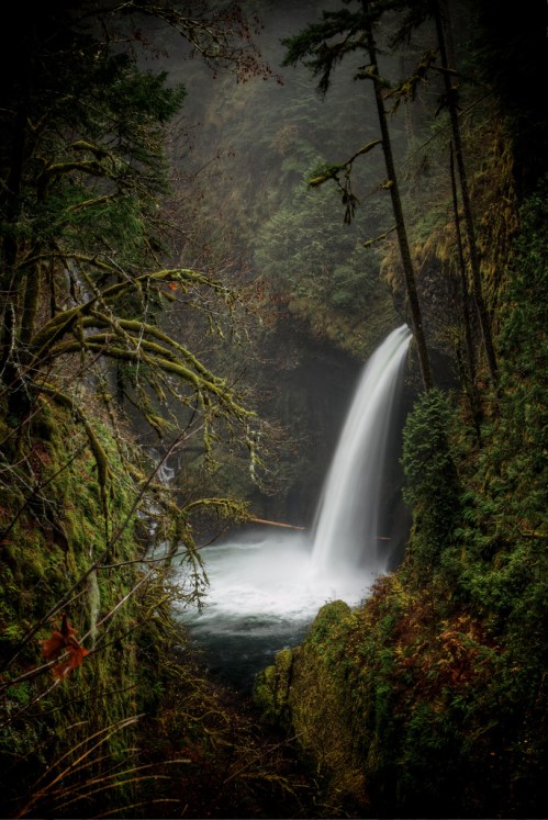A serene waterfall cascades into a misty forested gorge, surrounded by lush greenery and rocky cliffs.