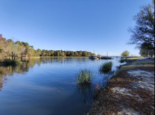 A serene river scene with clear blue skies, lush trees, and a small dock along the water's edge.