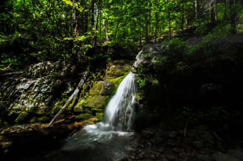A serene waterfall cascades over mossy rocks, surrounded by lush green trees in a tranquil forest setting.