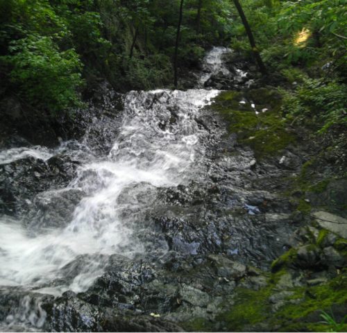 A flowing stream cascades over rocky terrain, surrounded by lush green foliage.