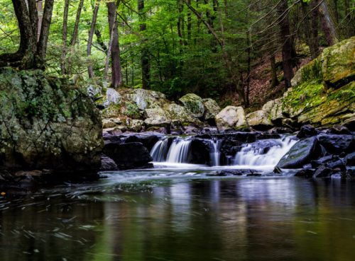 A serene forest scene featuring a gentle waterfall cascading over rocks into a calm pool, surrounded by lush greenery.