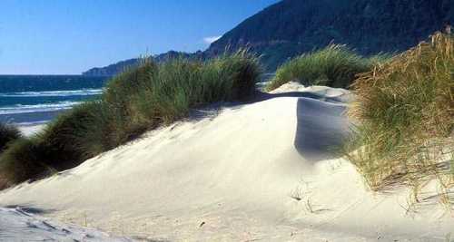 A sandy dune with tall grass, overlooking a beach and ocean under a clear blue sky and distant mountains.