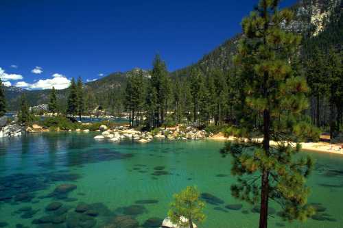 A serene lake surrounded by pine trees and mountains, with clear turquoise water and rocky shores under a blue sky.