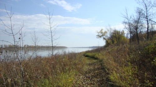 A serene riverbank scene with a narrow path, surrounded by tall grasses and trees under a clear blue sky.