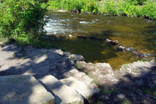 A serene river flows beside a rocky bank, surrounded by lush green foliage and dappled sunlight.