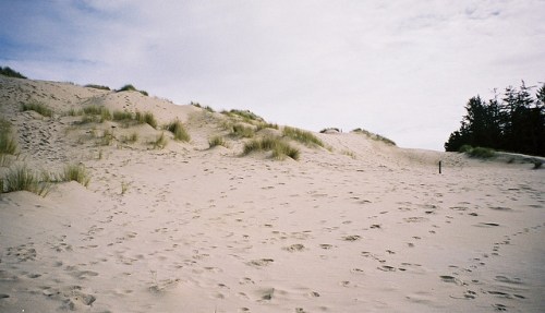 A sandy dune landscape with sparse grass and footprints leading up the slope under a cloudy sky.