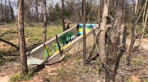 An abandoned concrete slide covered in graffiti, surrounded by trees and overgrown vegetation.