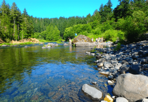 A clear river surrounded by lush greenery and rocky banks, with people enjoying the water in the background.