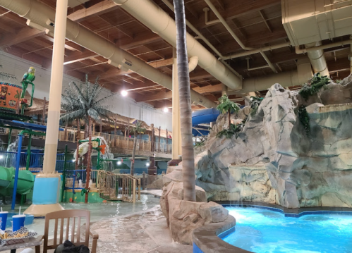 Indoor water park featuring slides, a rock formation, palm trees, and a pool area with seating.