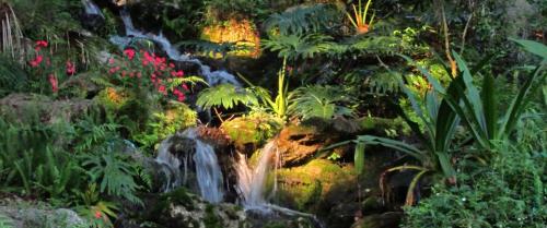 A serene waterfall surrounded by lush greenery and vibrant flowers, illuminated by soft, warm light.
