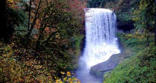 A cascading waterfall surrounded by lush greenery and autumn-colored trees.