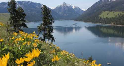 A serene lake surrounded by mountains, with vibrant yellow wildflowers in the foreground under a clear blue sky.