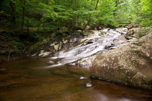 A serene waterfall cascades over smooth rocks, surrounded by lush green trees in a tranquil forest setting.