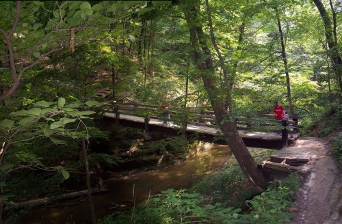 A wooden bridge crosses a stream in a lush, green forest, with a person standing nearby.
